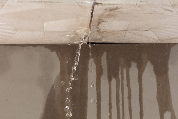 Professional Water Damage Inspection technician working in Fallon, NV